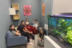 den po chorapi - fusion school (7)