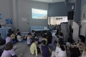 iglika trifonova fusion school (1)
